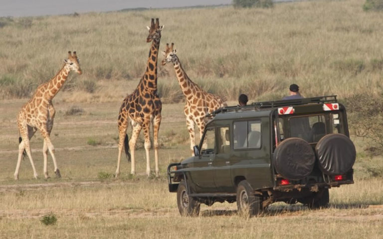 5 Top Reason To Rent A 4×4 Car For Uganda Safari
