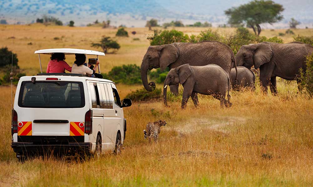Murchison falls safari Uganda