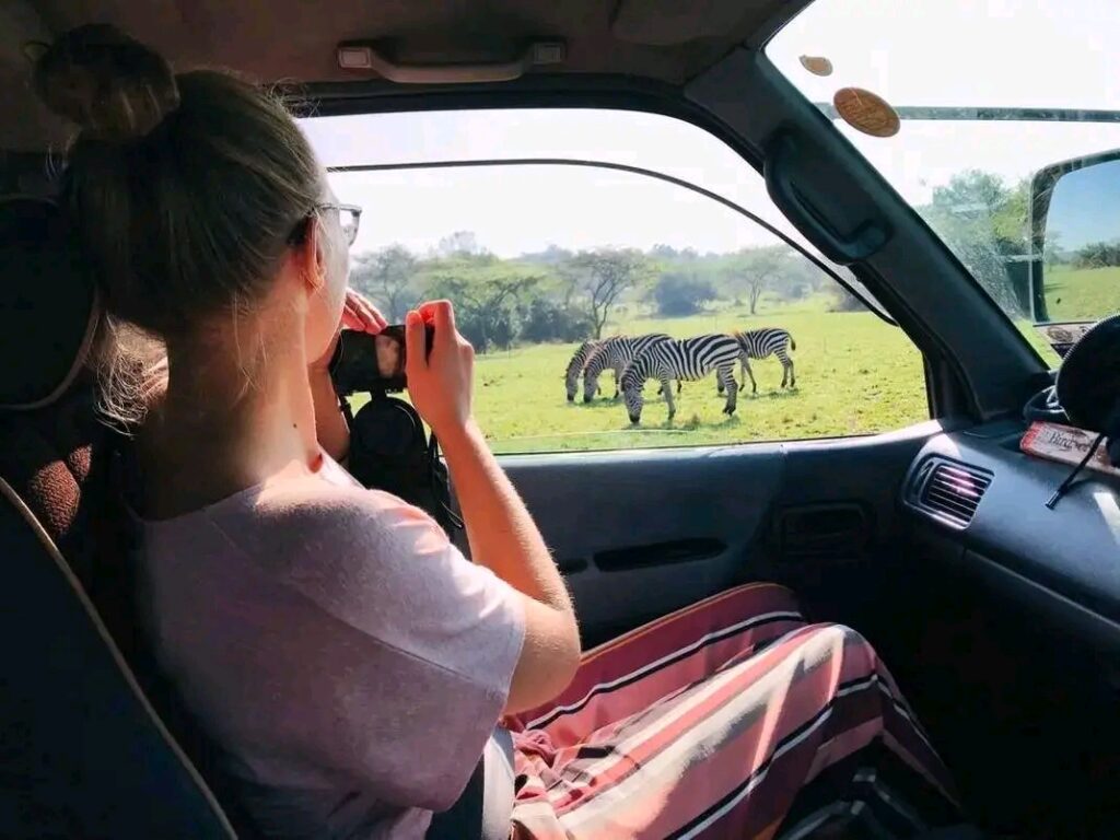 car rental Uganda on self drive safari