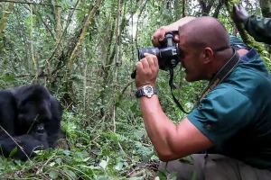 Uganda safaris in Bwindi forest