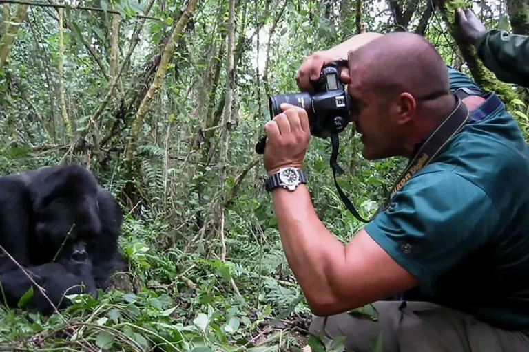 Top 5 Must-Visit Uganda Safari Destinations In 2026